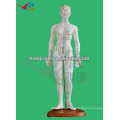 Produit d'acupuncture humain 48CM, modèle d'acupuncture féminin